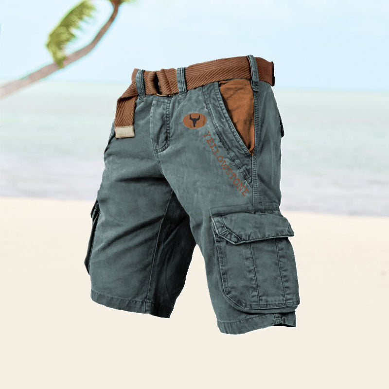 Herre Cargo Shorts - Blå